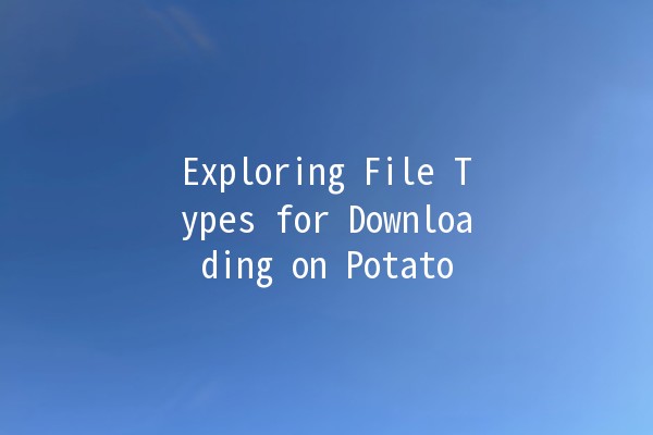 Exploring File Types for Downloading on Potato 🚀📁