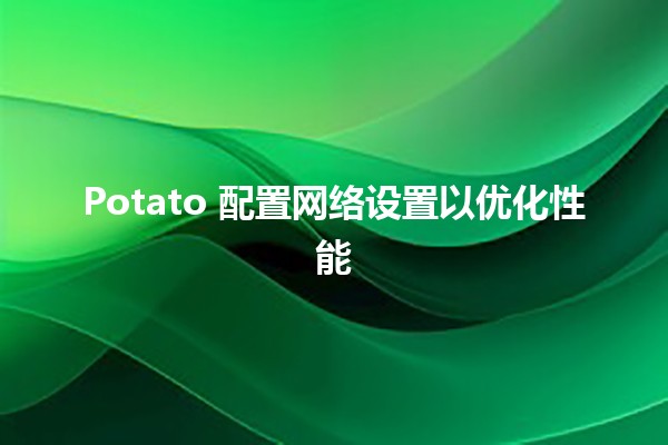 Potato 配置网络设置以优化性能 🥔⚡