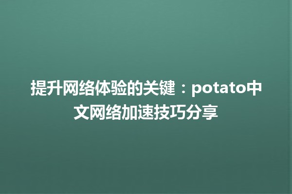 🚀 提升网络体验的关键：potato中文网络加速技巧分享