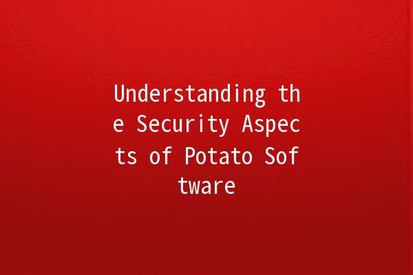 Understanding the Security Aspects of Potato Software 🥔🔒