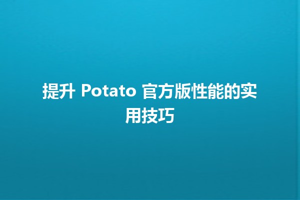 🚀 提升 Potato 官方版性能的实用技巧 💡