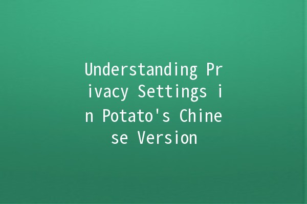 Understanding Privacy Settings in Potato's Chinese Version 🥔🔒