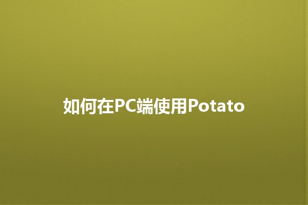 如何在PC端使用Potato🌈🍟