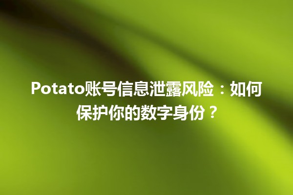 Potato账号信息泄露风险⚠️：如何保护你的数字身份？