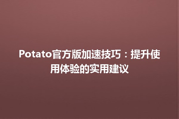 Potato官方版加速技巧🔧✨：提升使用体验的实用建议