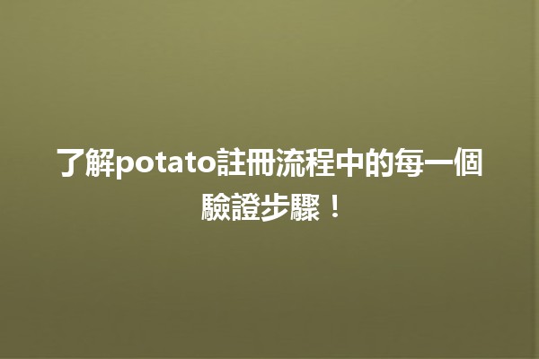 🥔 了解potato註冊流程中的每一個驗證步驟！🚀