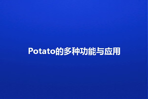 Potato的多种功能与应用🌟🥔