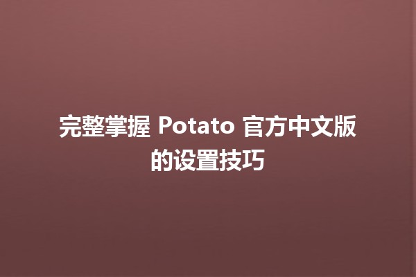 🍟 完整掌握 Potato 官方中文版的设置技巧🏆