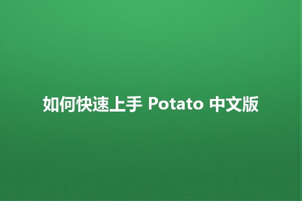 如何快速上手 Potato 中文版 🚀🥔