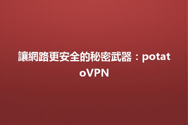 讓網路更安全的秘密武器：potatoVPN 🌐🛡️