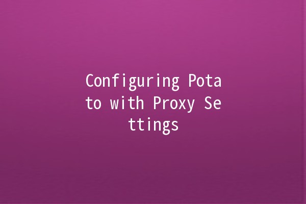 Configuring Potato with Proxy Settings 🌍🖥️