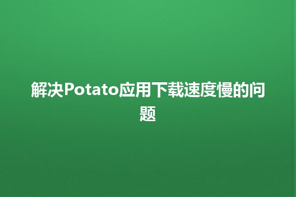 解决Potato应用下载速度慢的问题 🚀📱