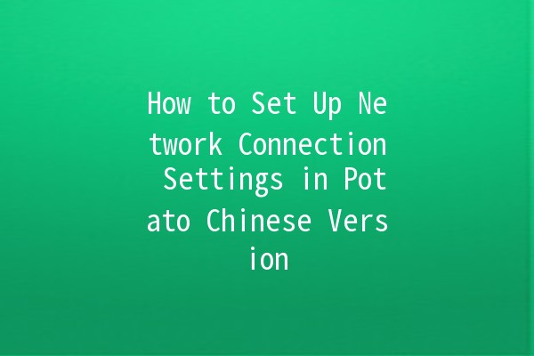 How to Set Up Network Connection Settings in Potato Chinese Version 🍟🌐