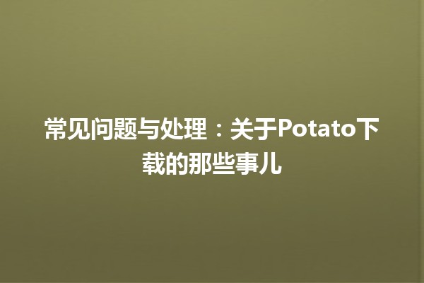 常见问题与处理：关于Potato下载的那些事儿🍟💻