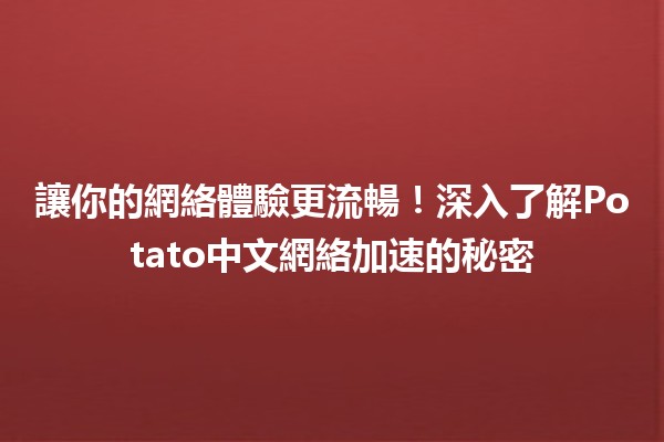 🚀 讓你的網絡體驗更流暢！深入了解Potato中文網絡加速的秘密🌟