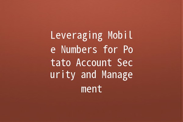 Leveraging Mobile Numbers for Potato Account Security and Management 📱🥔