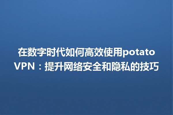 💻🌍 在数字时代如何高效使用potatoVPN：提升网络安全和隐私的技巧