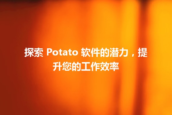 🌟 探索 Potato 软件的潜力，提升您的工作效率 🚀