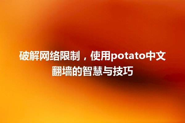 🌐 破解网络限制，使用potato中文翻墙的智慧与技巧💡