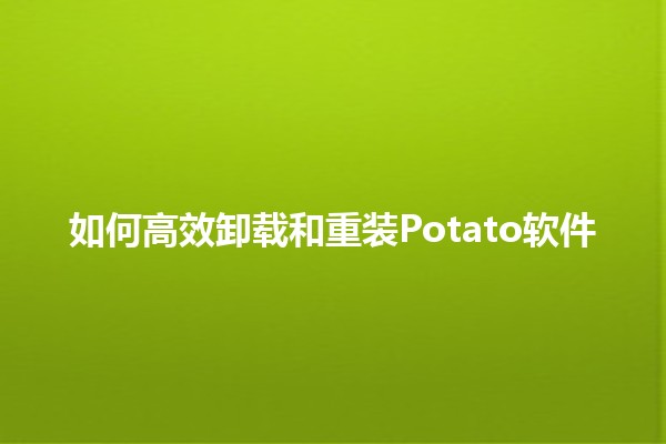 如何高效卸载和重装Potato软件 🥔💻