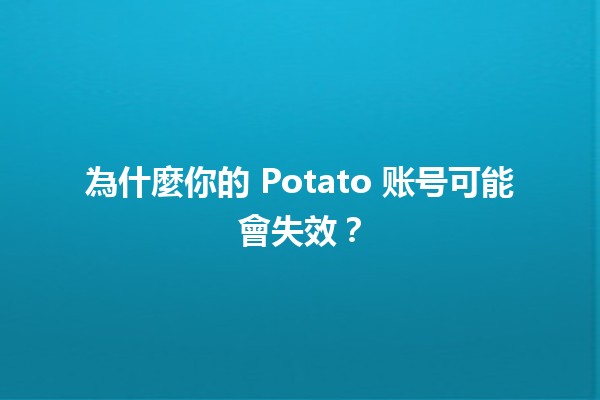 為什麼你的 Potato 账号可能會失效？🔍🤔