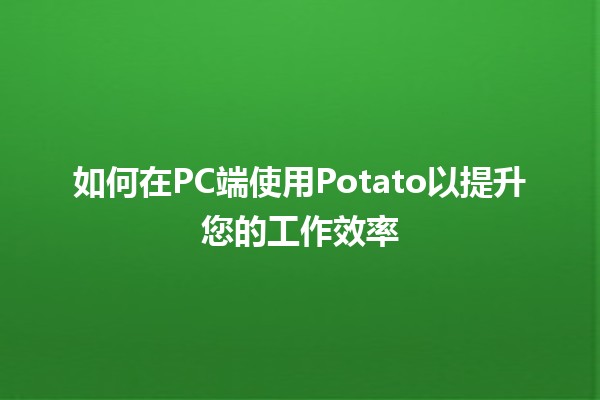 如何在PC端使用Potato以提升您的工作效率🍟🚀