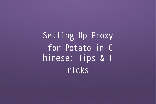 Setting Up Proxy for Potato in Chinese: Tips & Tricks 🥔🌐