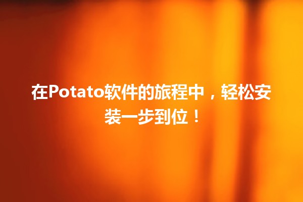 🍟 在Potato软件的旅程中，轻松安装一步到位！