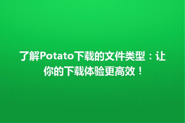 🥔 了解Potato下载的文件类型：让你的下载体验更高效！