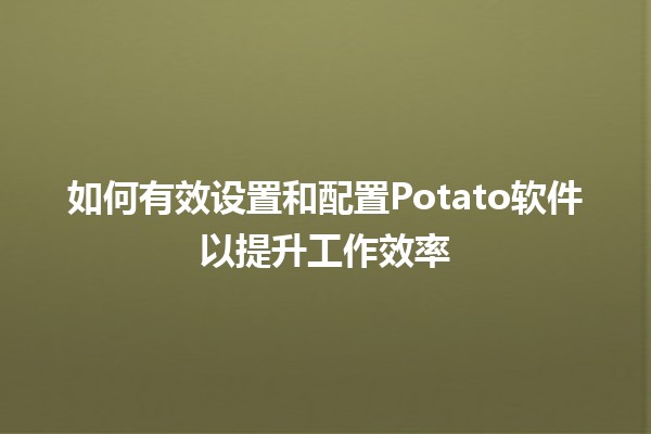 如何有效设置和配置Potato软件以提升工作效率 🚀🍟