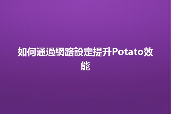 如何通過網路設定提升Potato效能 🔧🚀