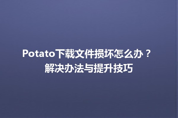 Potato下载文件损坏怎么办？😱 解决办法与提升技巧