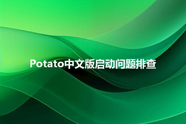 Potato中文版启动问题排查 🚀🍟