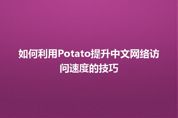 🚀 如何利用Potato提升中文网络访问速度的技巧💡