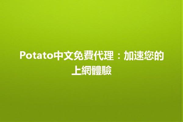 Potato中文免費代理：加速您的上網體驗 🚀🥔