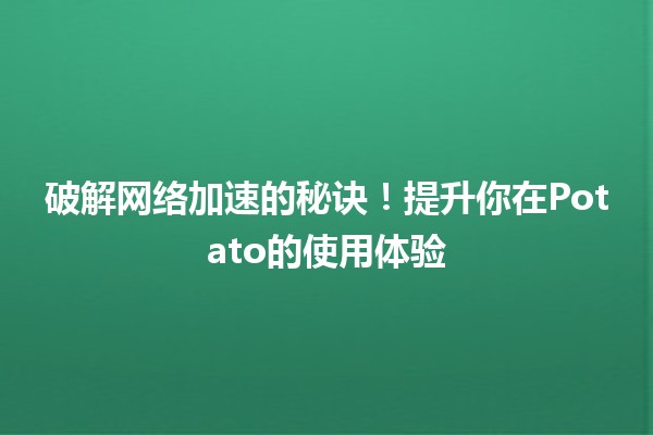 🥔破解网络加速的秘诀！提升你在Potato的使用体验✨