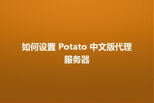 如何设置 Potato 中文版代理服务器 🚀🌐