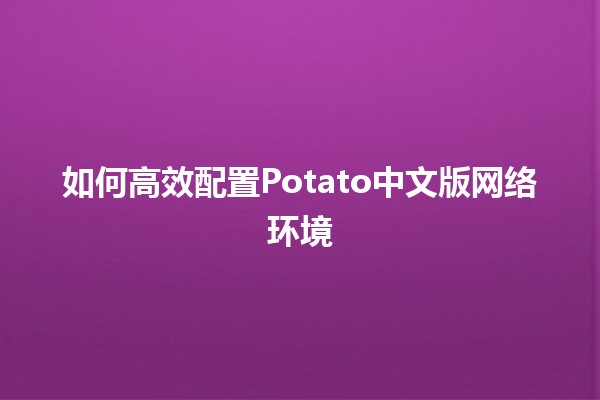 如何高效配置Potato中文版网络环境🌐