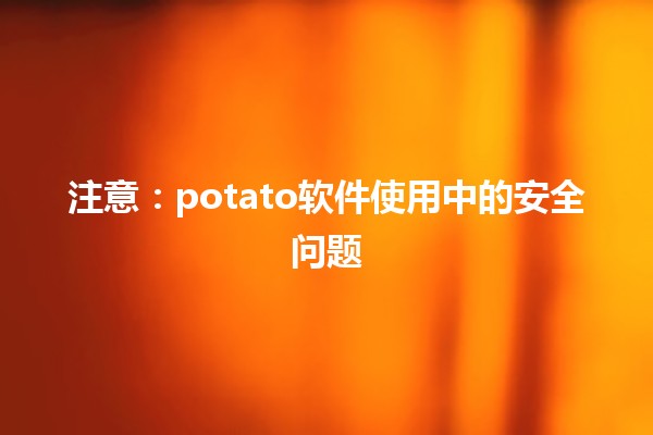 🚨 注意⚠️：potato软件使用中的安全问题