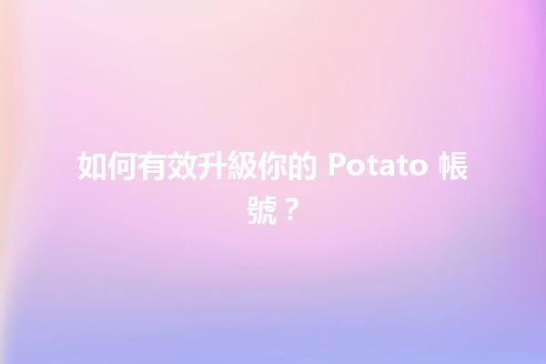 🎮 如何有效升級你的 Potato 帳號？🚀