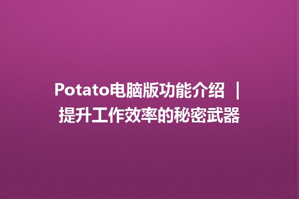 Potato电脑版功能介绍 🌟 | 提升工作效率的秘密武器