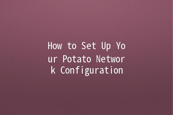 How to Set Up Your Potato Network Configuration 🌐🥔