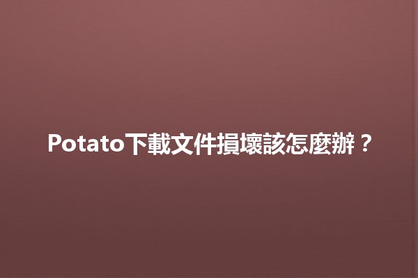 Potato下載文件損壞該怎麼辦？🔧💻