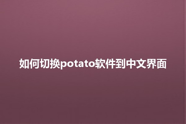 如何切换potato软件到中文界面 🥔🌐