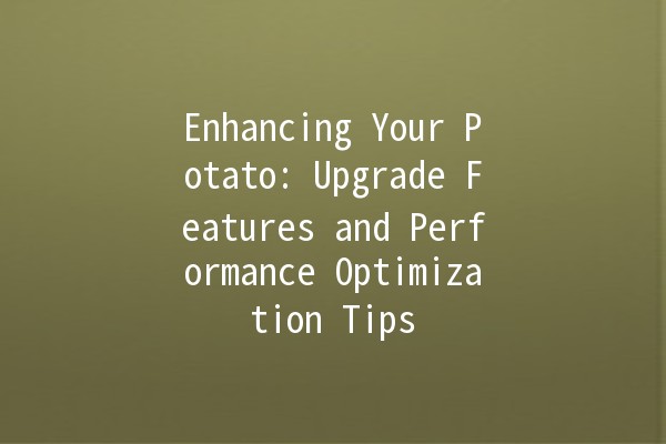 Enhancing Your Potato: Upgrade Features and Performance Optimization Tips 🥔🚀