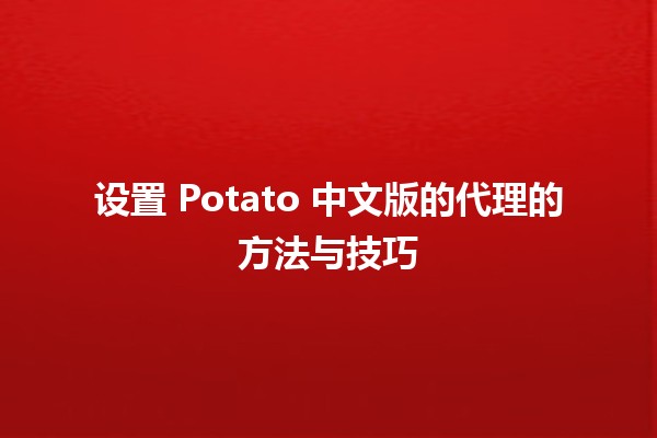 设置 Potato 中文版的代理的方法与技巧 🌐✨