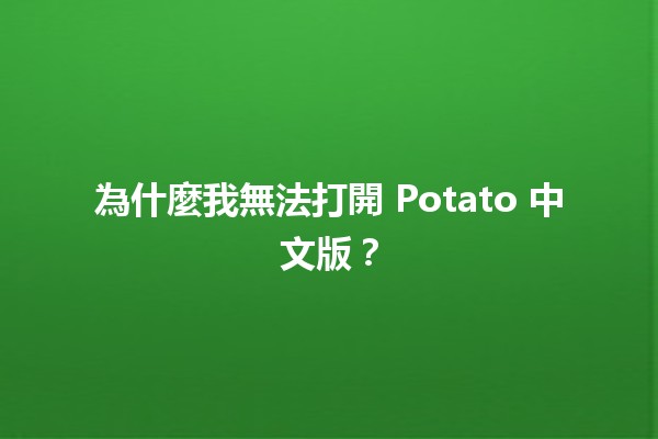 為什麼我無法打開 Potato 中文版？🤔📉