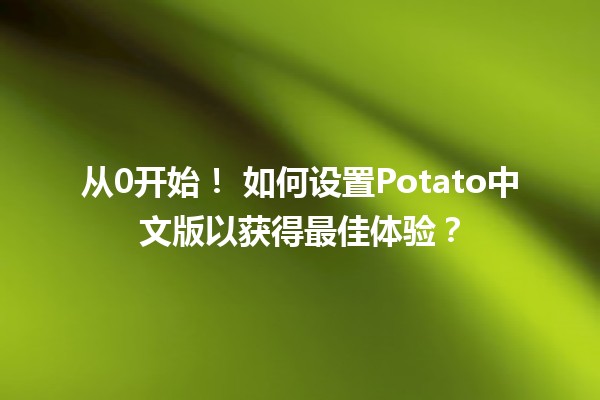 从0开始！🎮 如何设置Potato中文版以获得最佳体验？