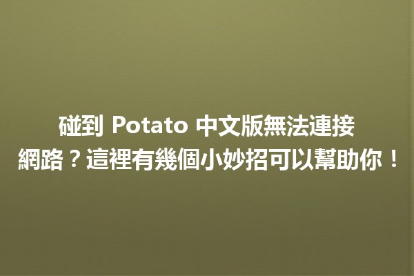 碰到 Potato 中文版無法連接網路？這裡有幾個小妙招可以幫助你！🚀