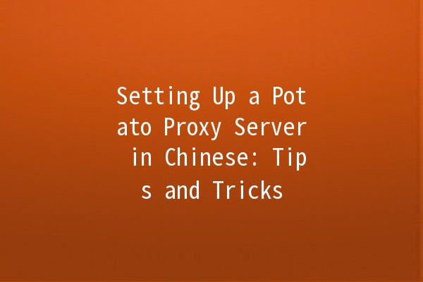 Setting Up a Potato Proxy Server in Chinese: Tips and Tricks 🚀🥔